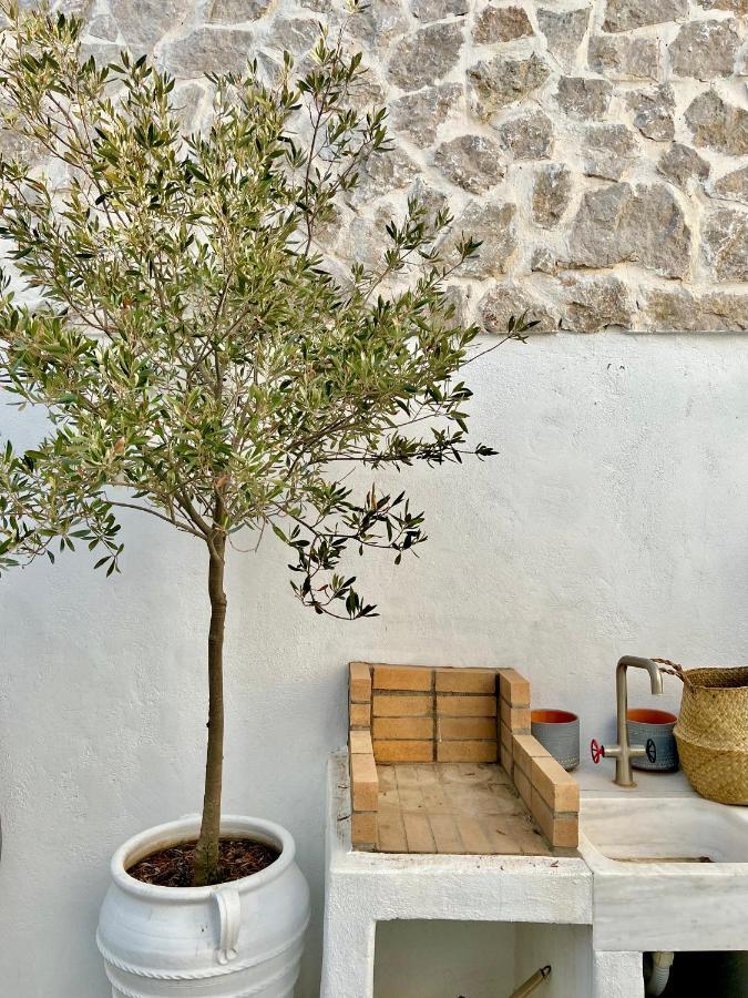 Aetheria Traditional House Case de vacanță Koskinou (Rhodes)